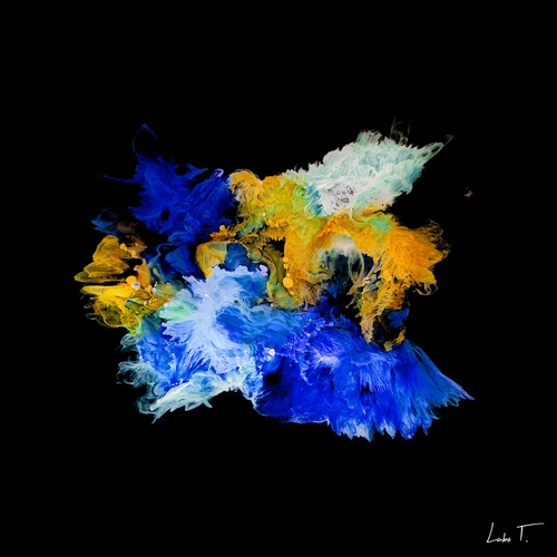 Minorah - Fleur Bleue [LT0053]